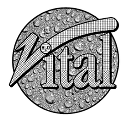 VITAL H2O trademark