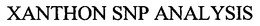 XANTHON SNP ANALYSIS trademark