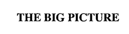 THE BIG PICTURE trademark