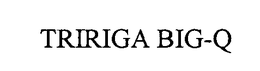 TRIRIGA BIG-Q trademark