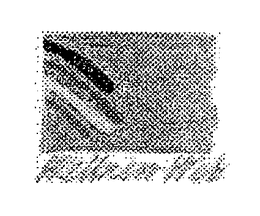 WELLNESS WEB trademark