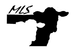 MLS trademark