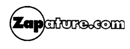 ZAPATURE.COM trademark
