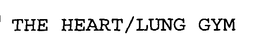 THE HEART/LUNG GYM trademark