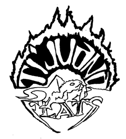 TIJUANA FLATS trademark