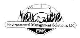 ENVIRONMENTAL MANAGEMENT SOLUTIONS, LLC EMS trademark