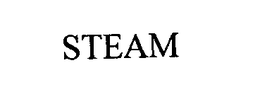 STEAM trademark