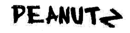 PEANUTZ trademark