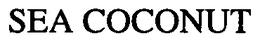 SEA COCONUT trademark
