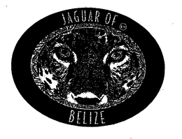 JAGUAR OF BELIZE trademark