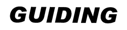 GUIDING trademark