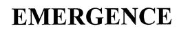 EMERGENCE trademark