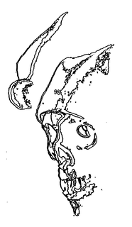 LogoMark trademark