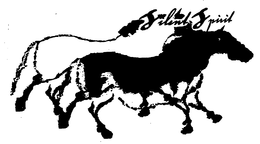 SILENT SPIRIT trademark