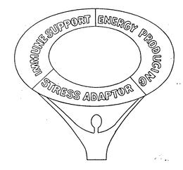 IMMUNE SUPPORT ENERGY PRODUCING STRESS ADAPTORS trademark