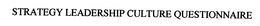 STRATEGY LEADERSHIP CULTURE QUESTIONNAIRE trademark