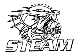 ROANOKE STEAM trademark
