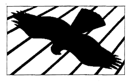 HAWK trademark