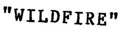 "WILDFIRE" trademark