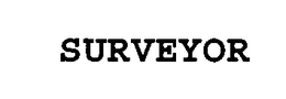 SURVEYOR trademark