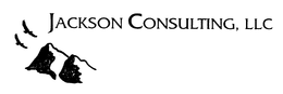 JACKSON CONSULTING, LLC trademark