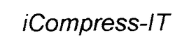 ICOMPRESS-IT trademark