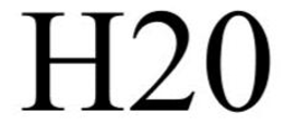 H20 trademark