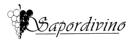 SAPORDIVINO trademark