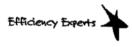 EFFICIENCY EXPERTS trademark