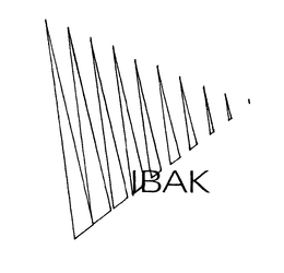 IBAK trademark