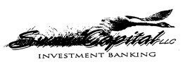 SWAN CAPITAL trademark