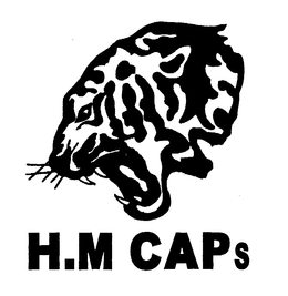 H.M. CAPS trademark