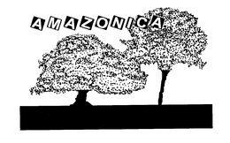 AMAZONICA trademark