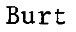 BURT trademark