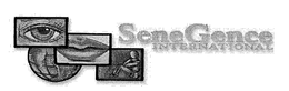 SENEGENCE INTERNATIONAL trademark