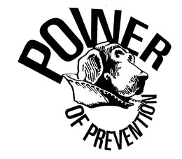 POWER OF PREVENTION trademark