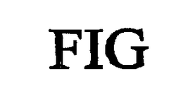FIG trademark