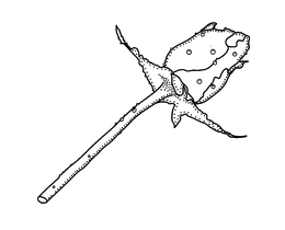 LogoMark trademark