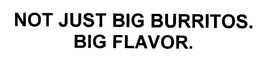 NOT JUST BIG BURRITOS.  BIG FLAVORS. trademark