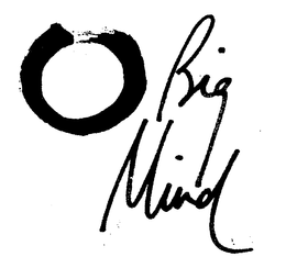 BIG MIND trademark