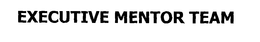 EXECUTIVE MENTOR TEAM trademark