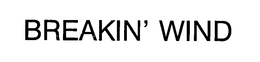 BREAKIN' WIND trademark