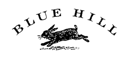 BLUE HILL trademark