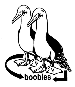 BOOBIES trademark