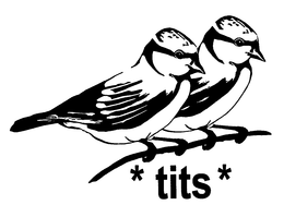 TITS trademark