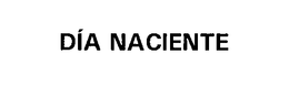 DÍA NACIENTE trademark