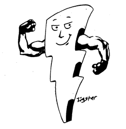 ZIGSTER trademark