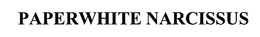 PAPERWHITE NARCISSUS trademark