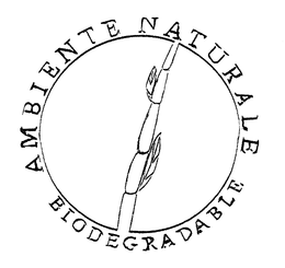 AMBIENTE NATURALE BIODEGRADABLE trademark