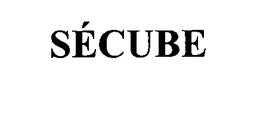 SECUBE trademark